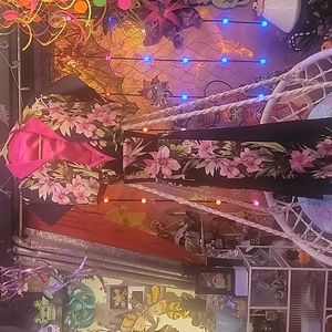 PUG Pele dress with bolero